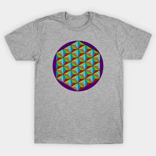 Colorful Triangles 2 T-Shirt